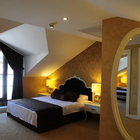 Deluxe Hotel 4*